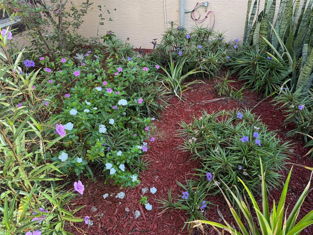 9735 West Dunnellon Road, Unit 31 Crystal River, FL 34428 - Photo 17 of 55 a flower plants in front of a house
