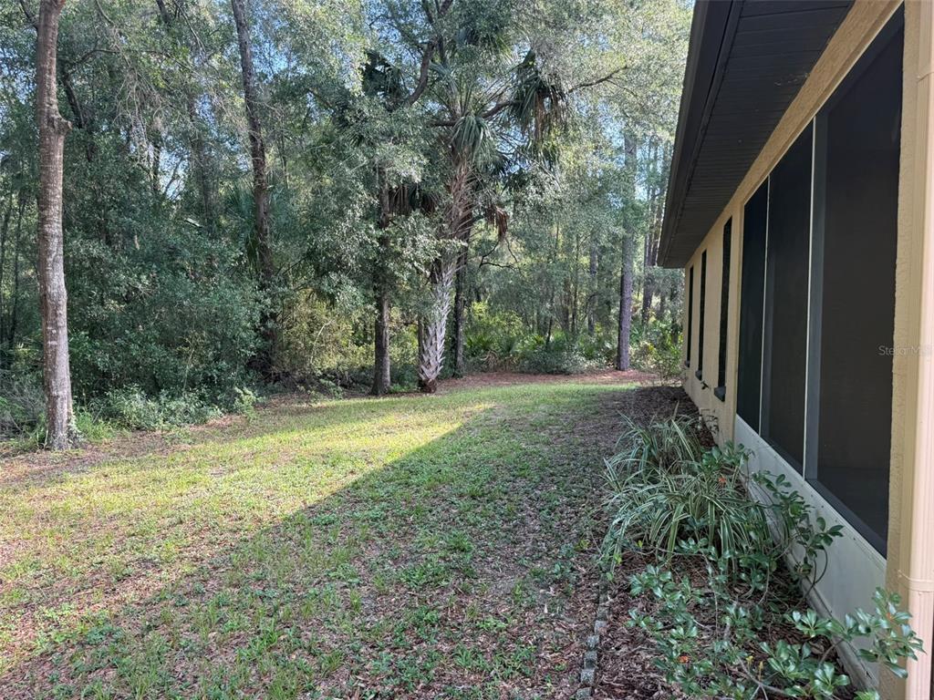 9735 West Dunnellon Road, Unit 31 Crystal River, FL 34428 - Photo 9 of 55 a view of a yard with a tree