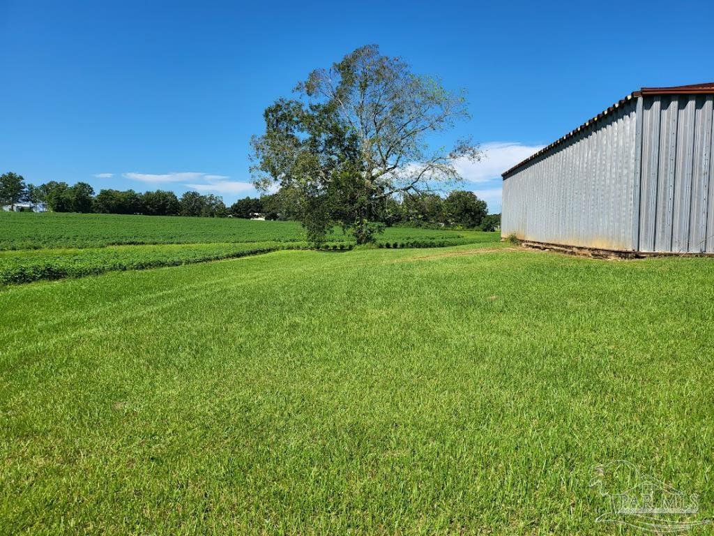 5871 Arthur Brown Road McDavid, FL 32568 - Photo 8 of 25 Gallery Image 8