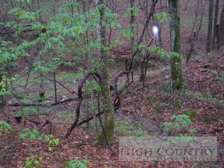 Tom Pless Road West Jefferson, NC 28694 - Photo 1 of 1 Gallery Image 1