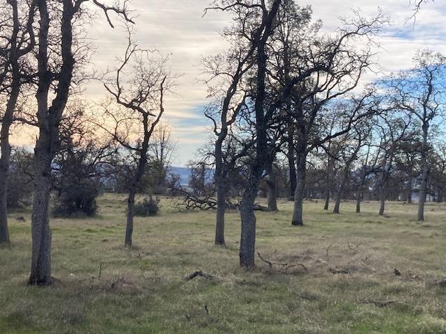 Open and Wooded