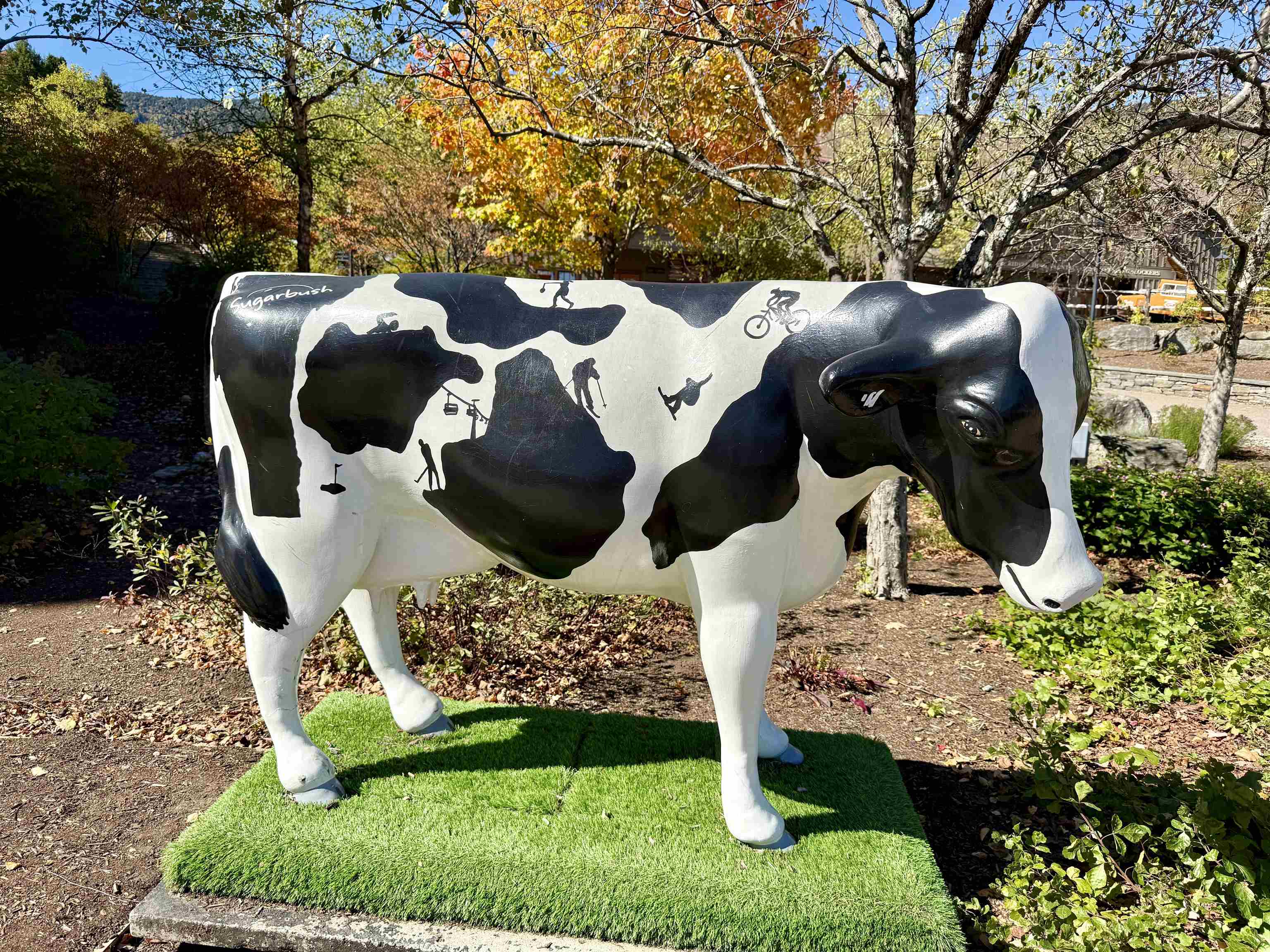 102 Upper Phase Road, Unit 79 Warren, VT 05674 - Photo 32 of 35