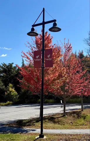 $259,000 | 102 Upper Phase Road, Unit 79, Warren, VT 05674