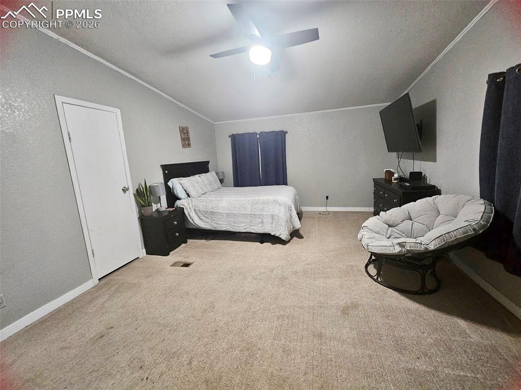 5633 Antelope Road Fountain, CO 80817 - Photo 12 of 19 a bedroom with bed and a flat screen tv
