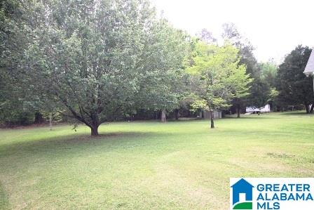 400 Henry Road Southwest Jacksonville, AL 36265 - Photo 40 of 47