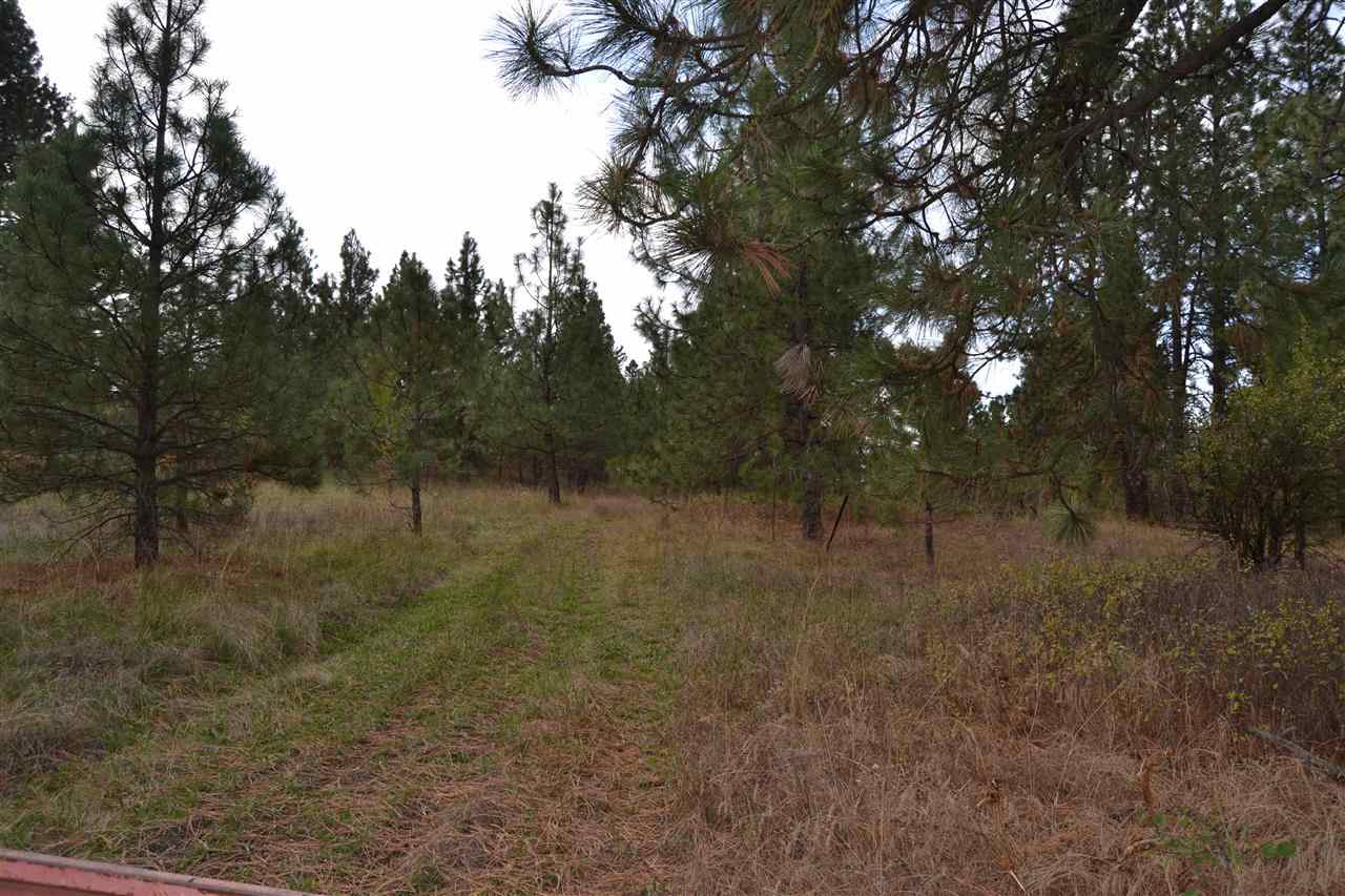 Xxx East Brevier Road Spokane, WA 99217 - Photo 1 of 4