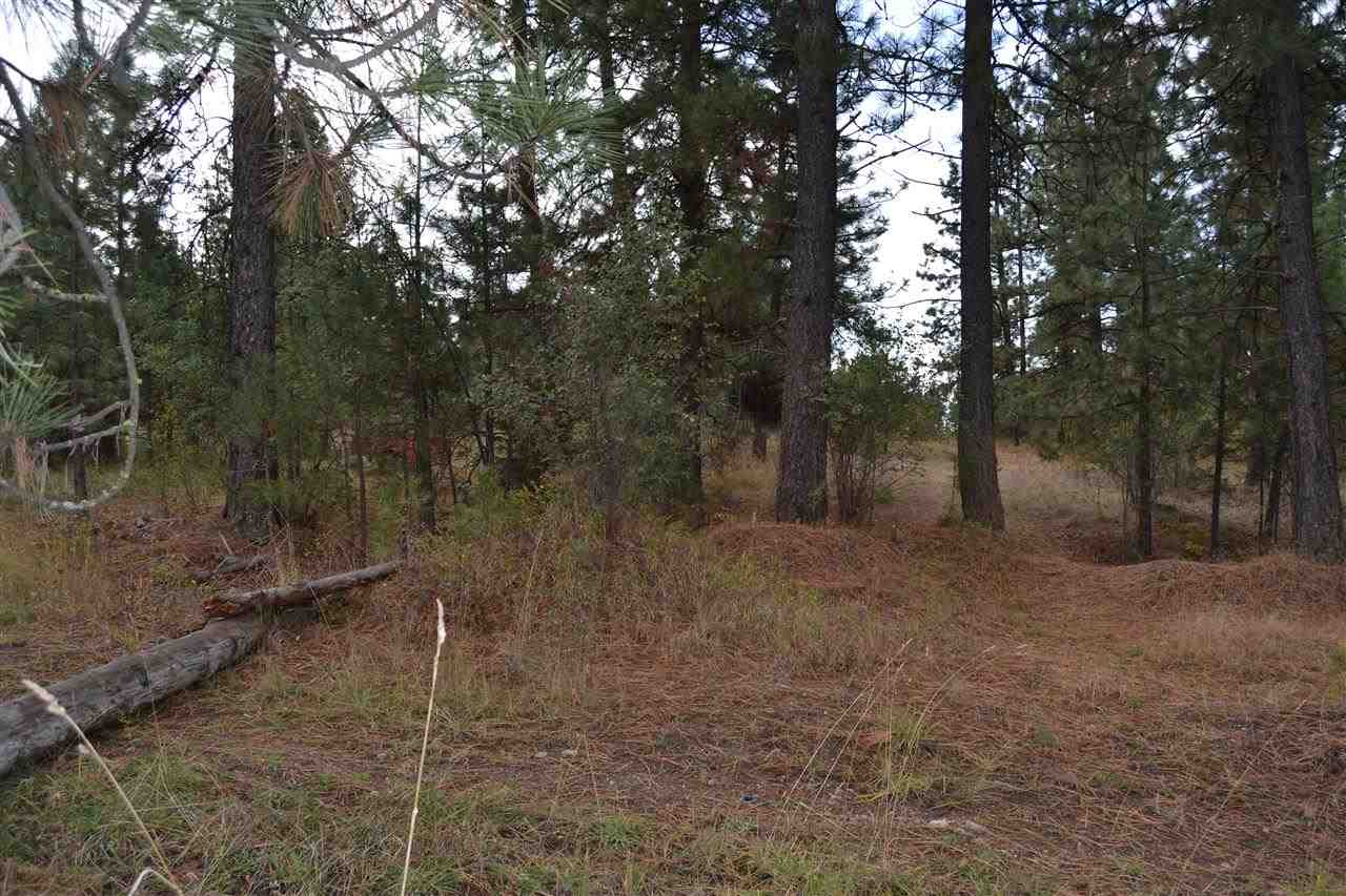 Xxx East Brevier Road Spokane, WA 99217 - Photo 3 of 4
