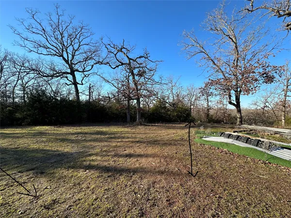 a view of a yard with a tree