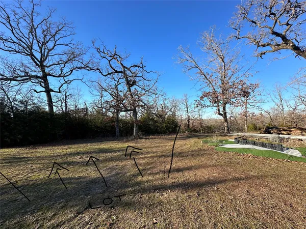 a view of a park with large trees