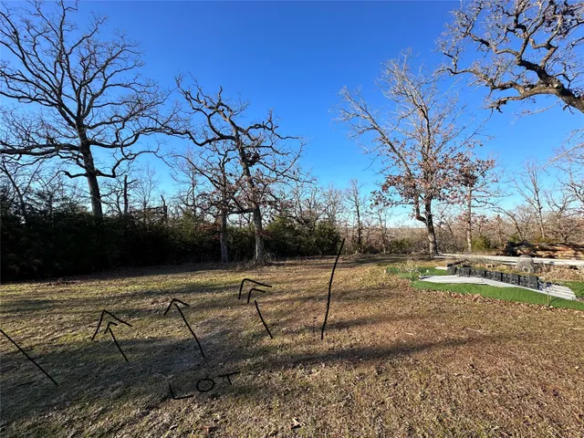a view of a park with large trees