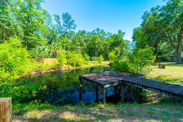 1701 Jones Road Jacksonville, FL 32220 - Photo 41 of 41 a view of a backyard with plants and large trees