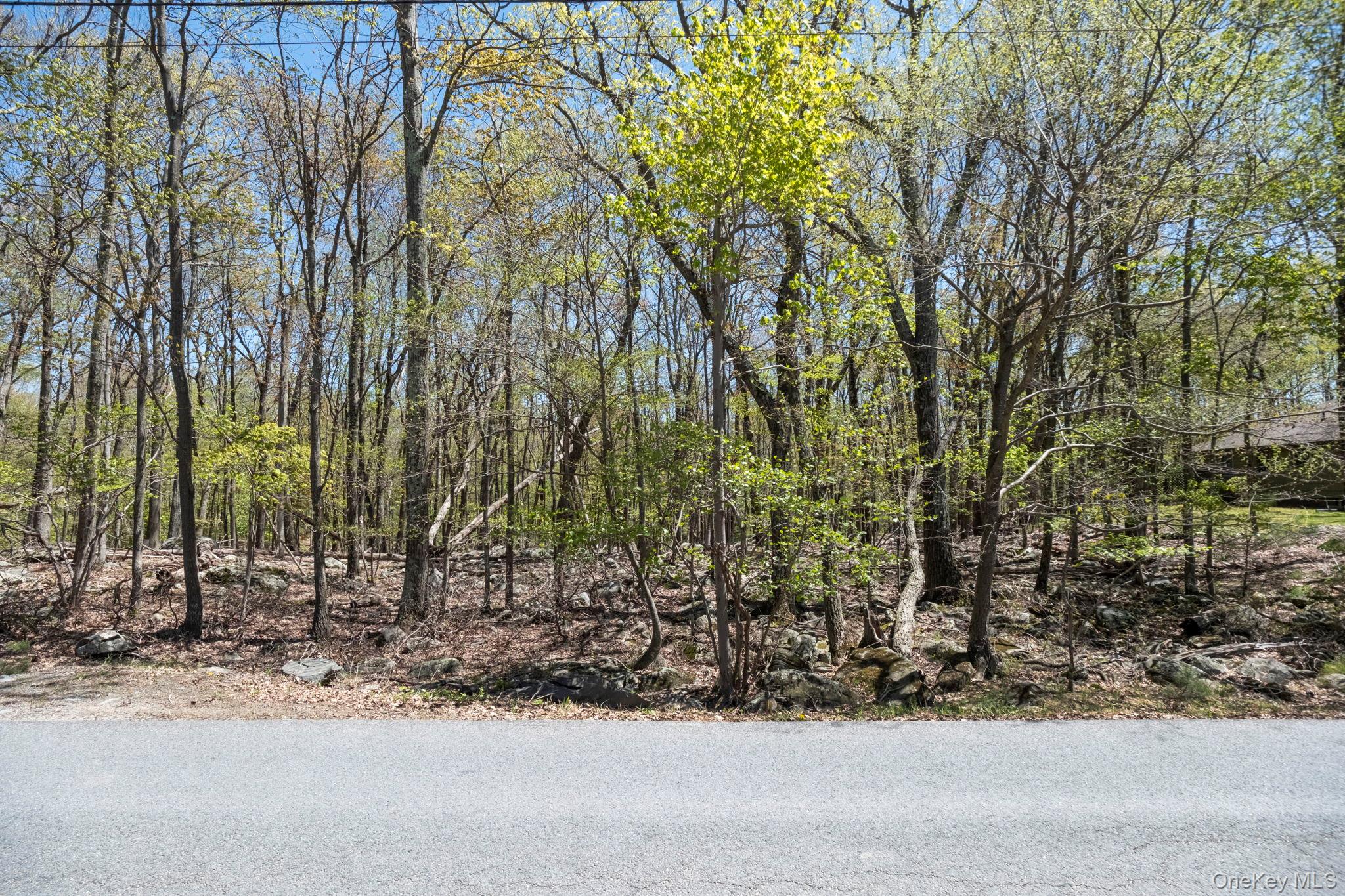 Canal Road Wurtsboro, NY 12790 - Photo 15 of 19 a view of a yard with a trees
