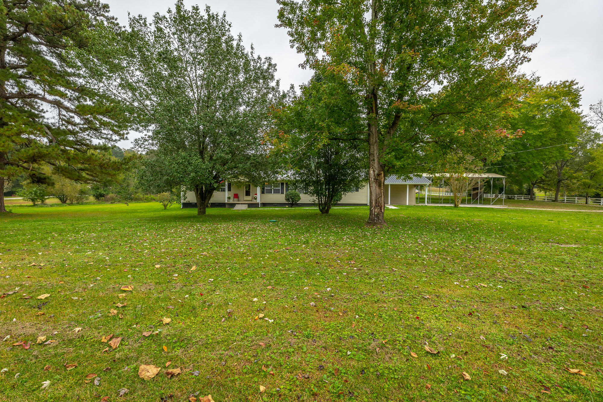 4204 Bill Jones Road Apison, TN 37302 - Photo 31 of 44 Front yard