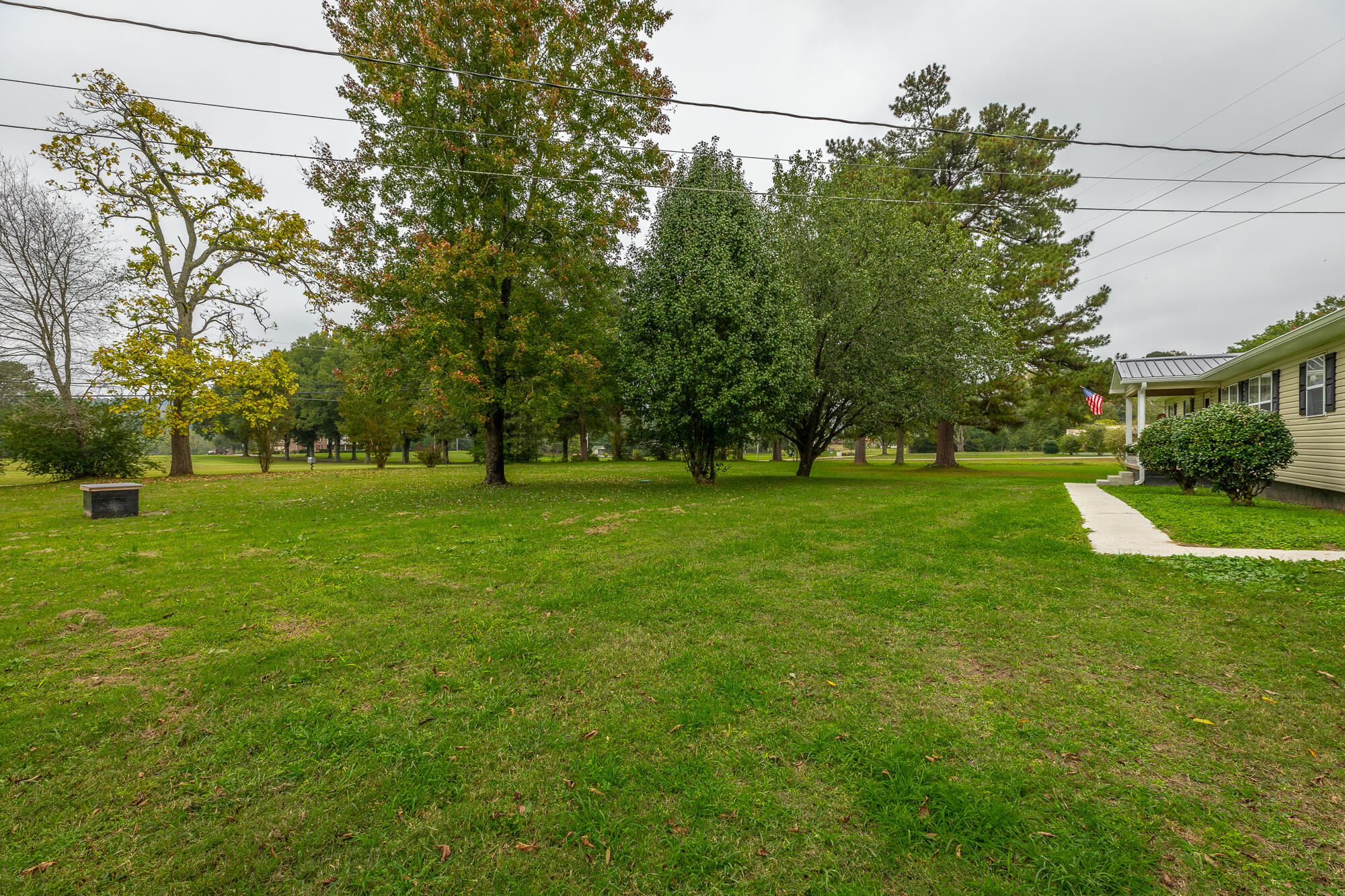 4204 Bill Jones Road Apison, TN 37302 - Photo 33 of 44 Front yard
