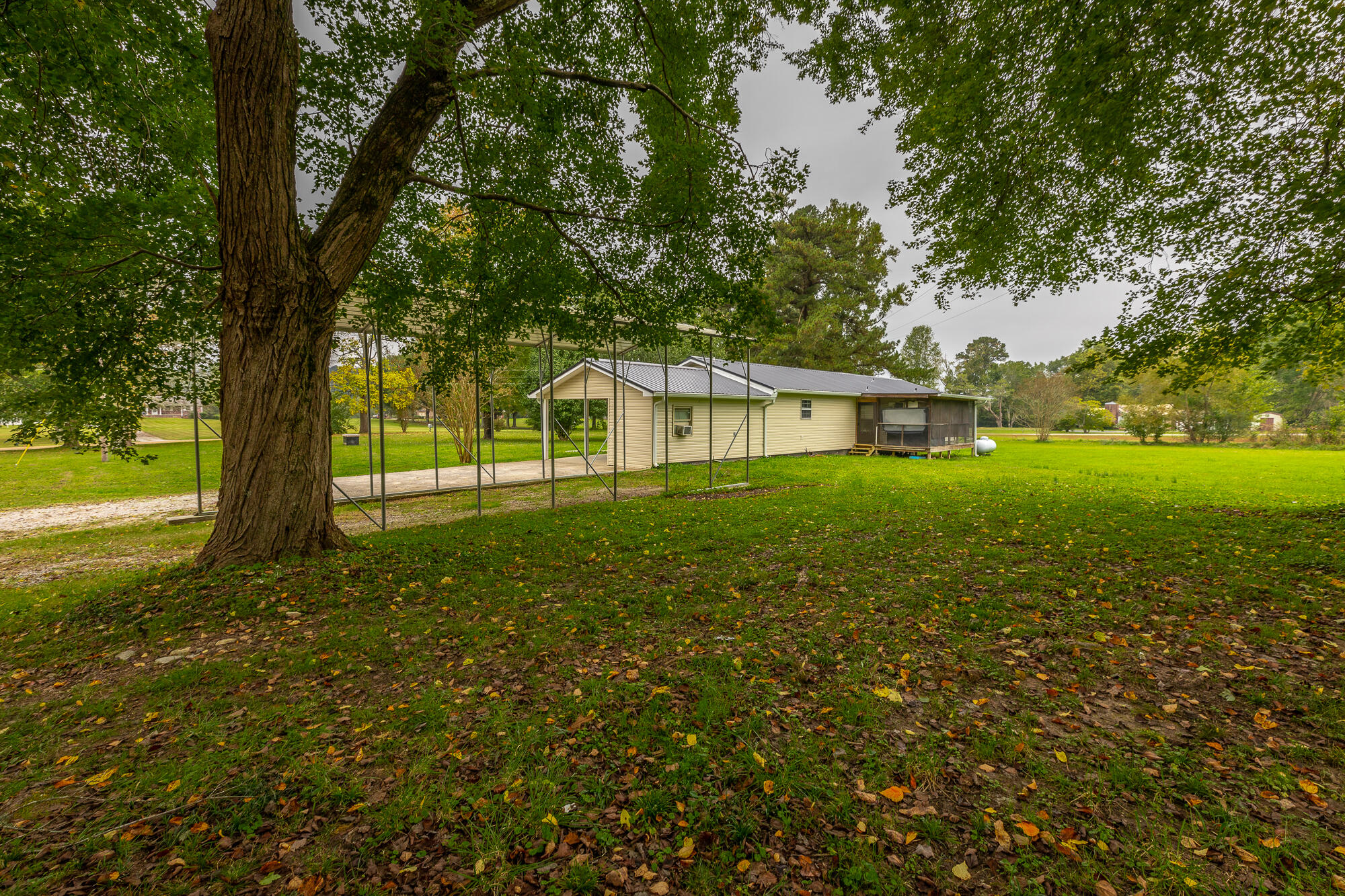 4204 Bill Jones Road Apison, TN 37302 - Photo 37 of 44 Backyard