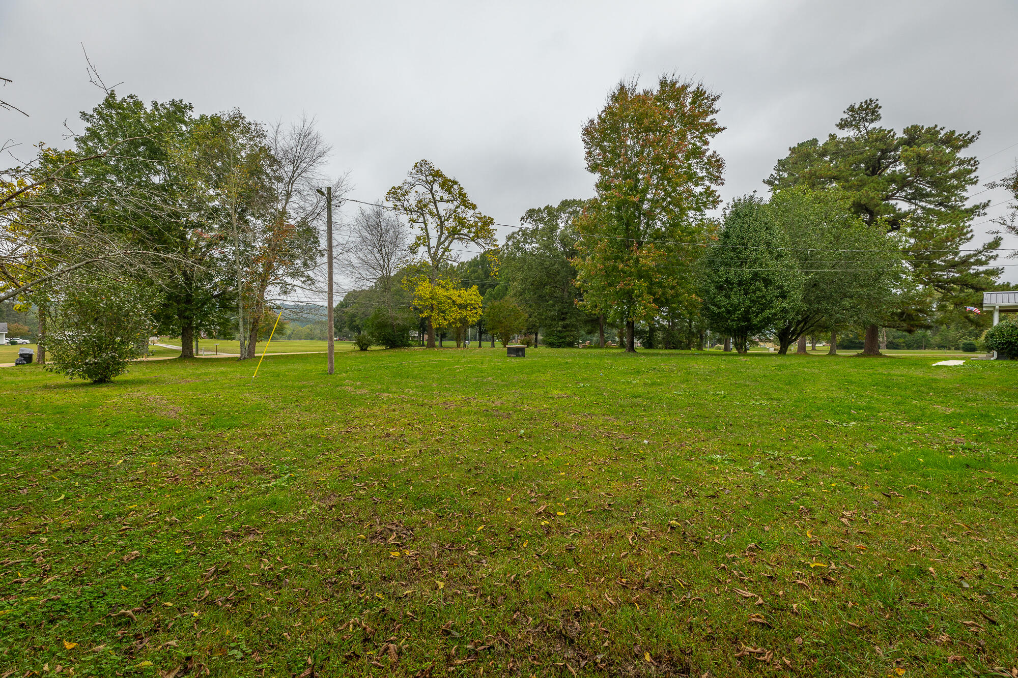 4204 Bill Jones Road Apison, TN 37302 - Photo 5 of 44 Yard