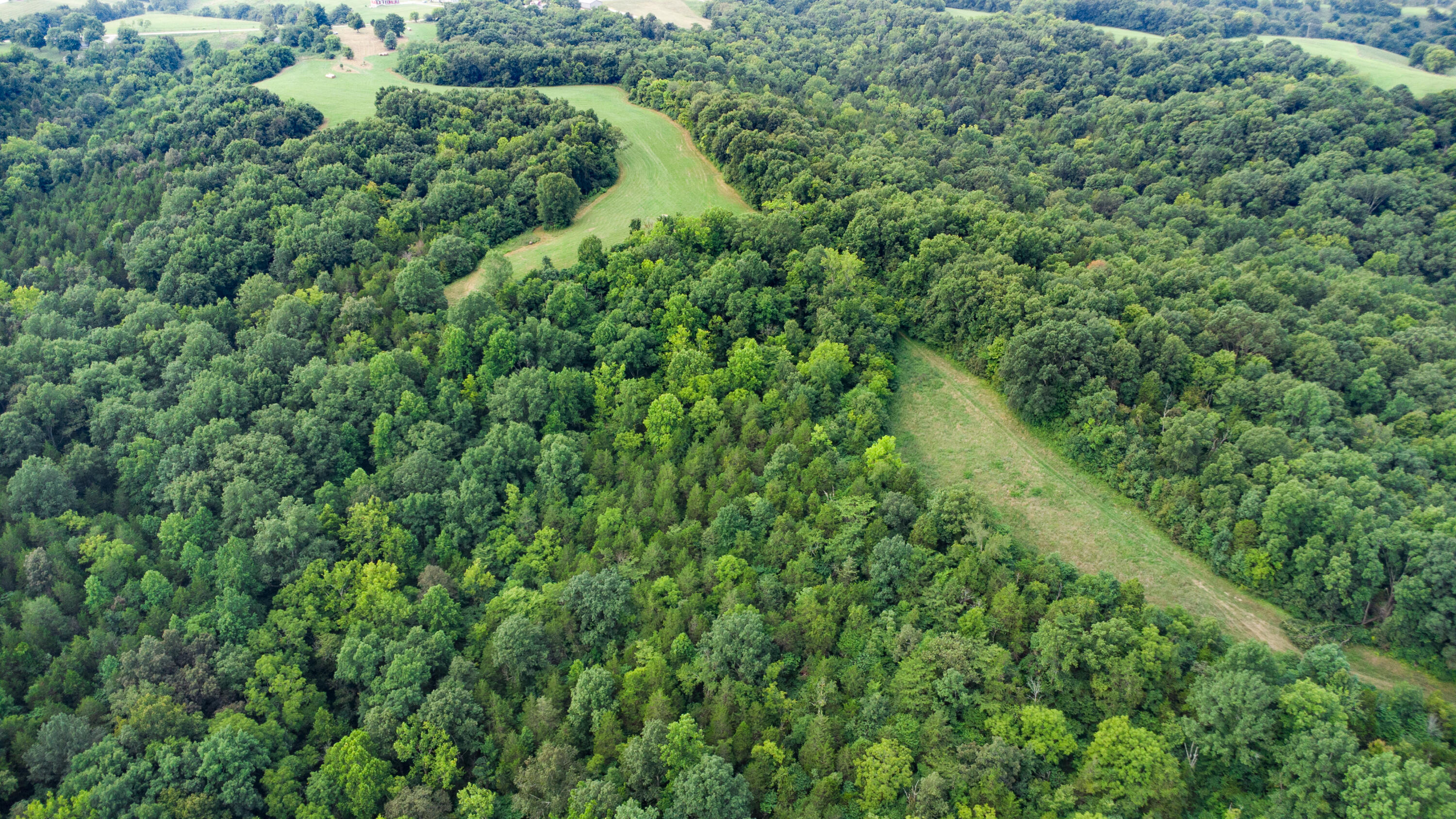4095 Warsaw Road Dry Ridge, KY 41035 - Photo 15 of 48