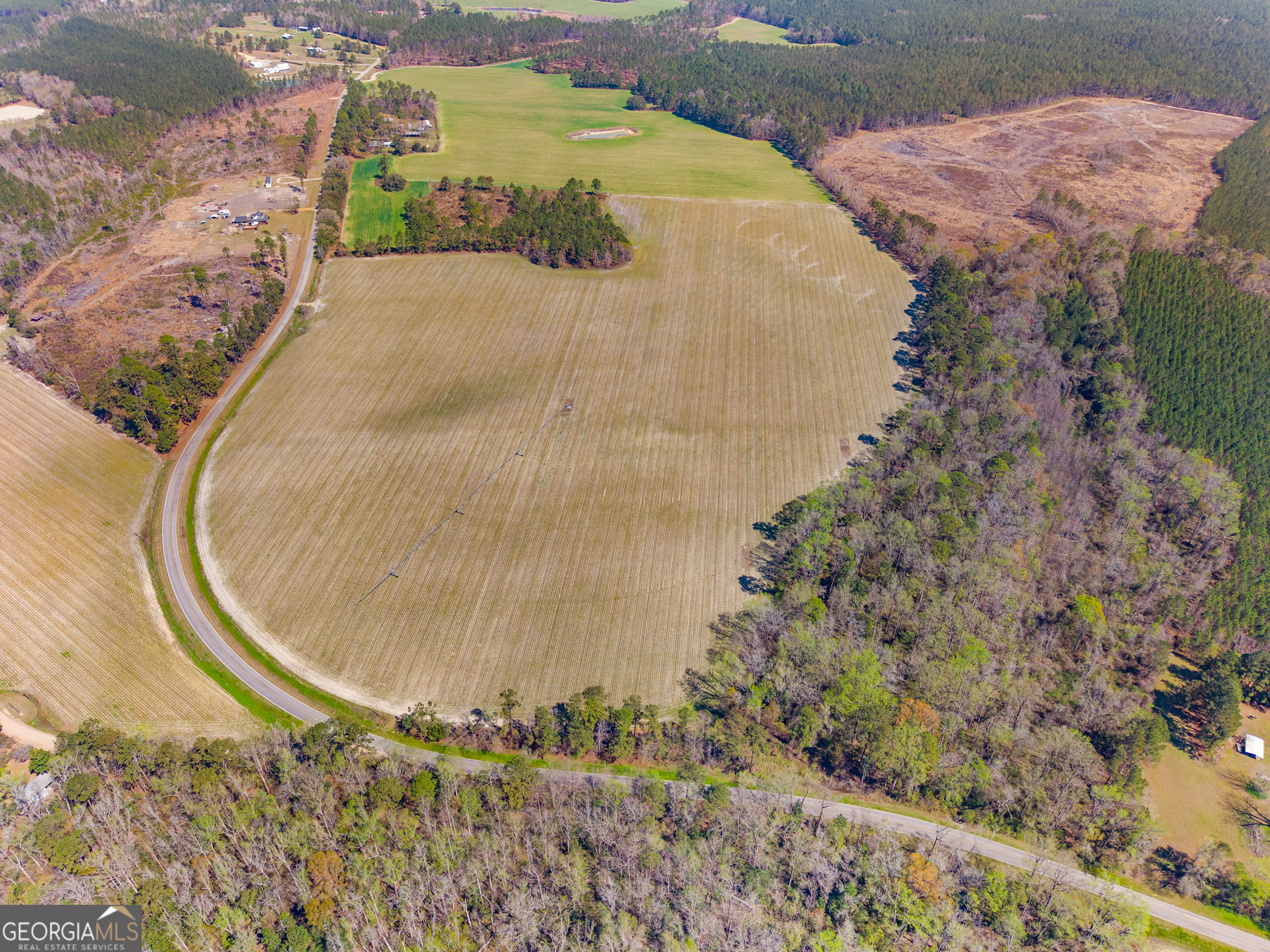 0 Stilson-Leefield Road Brooklet, GA 30415 - Photo 5 of 12