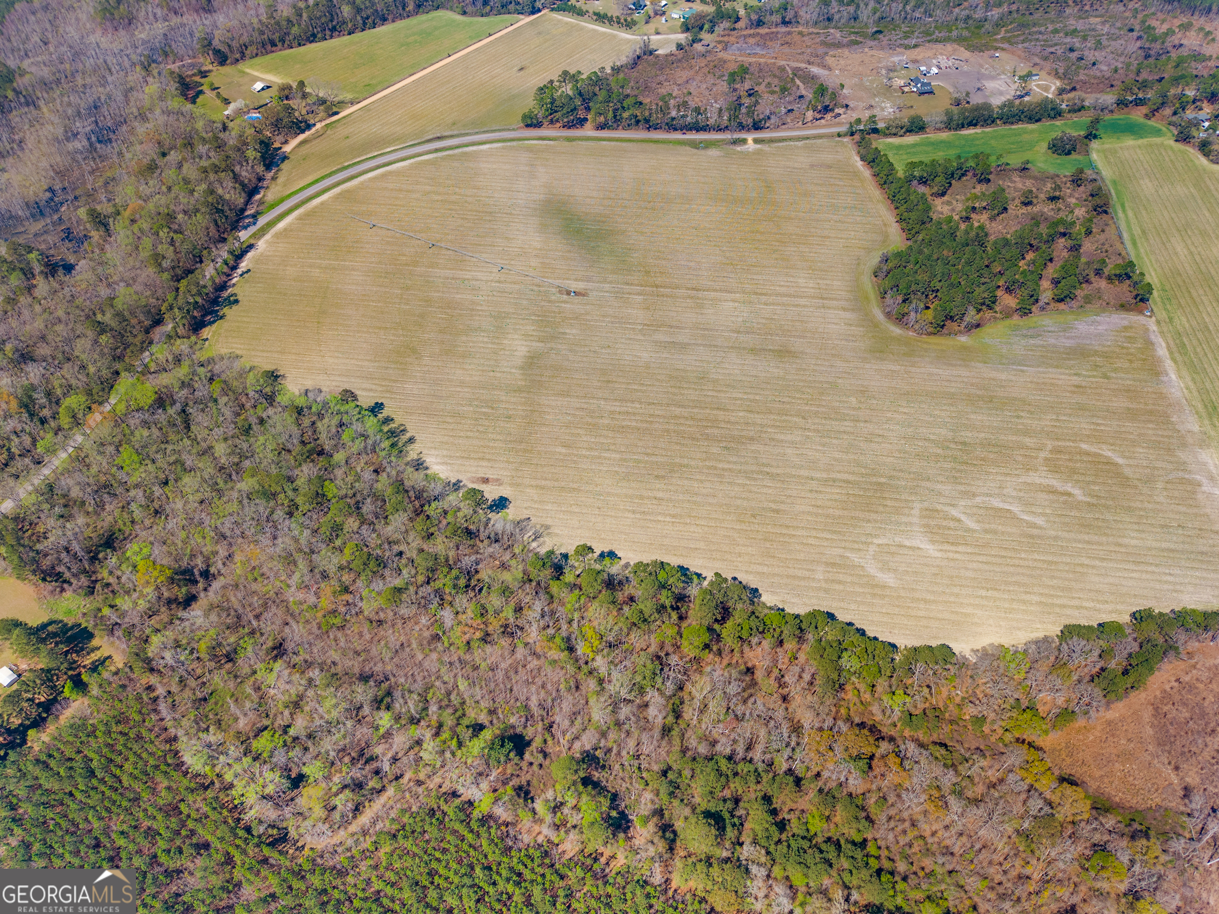 0 Stilson-Leefield Road Brooklet, GA 30415 - Photo 9 of 12