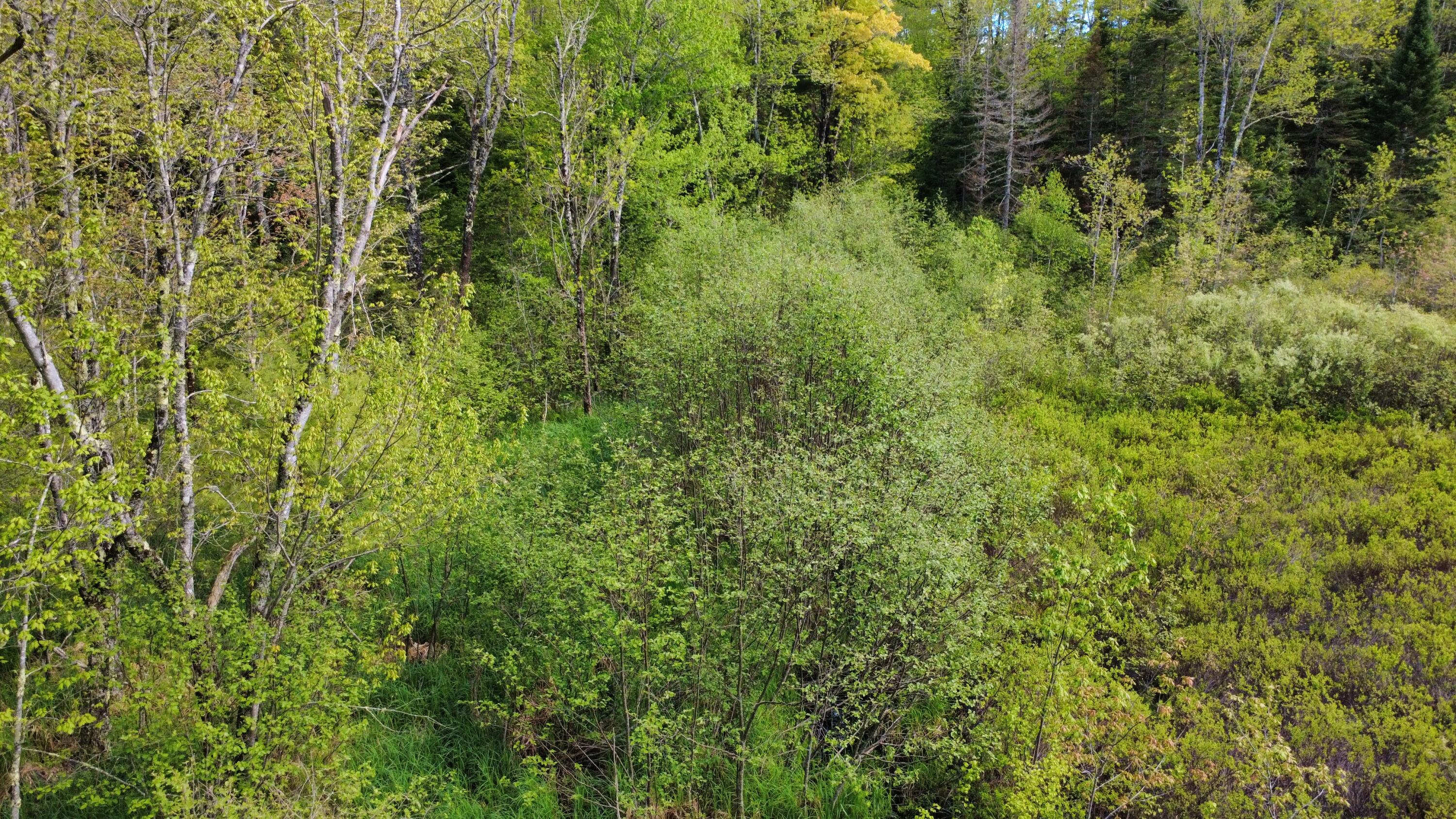 41 Fishtown Road Liberty, ME 04949 - Photo 11 of 18 1000031408