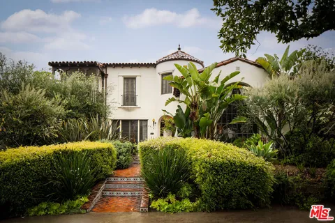 a view of a garden with plants
