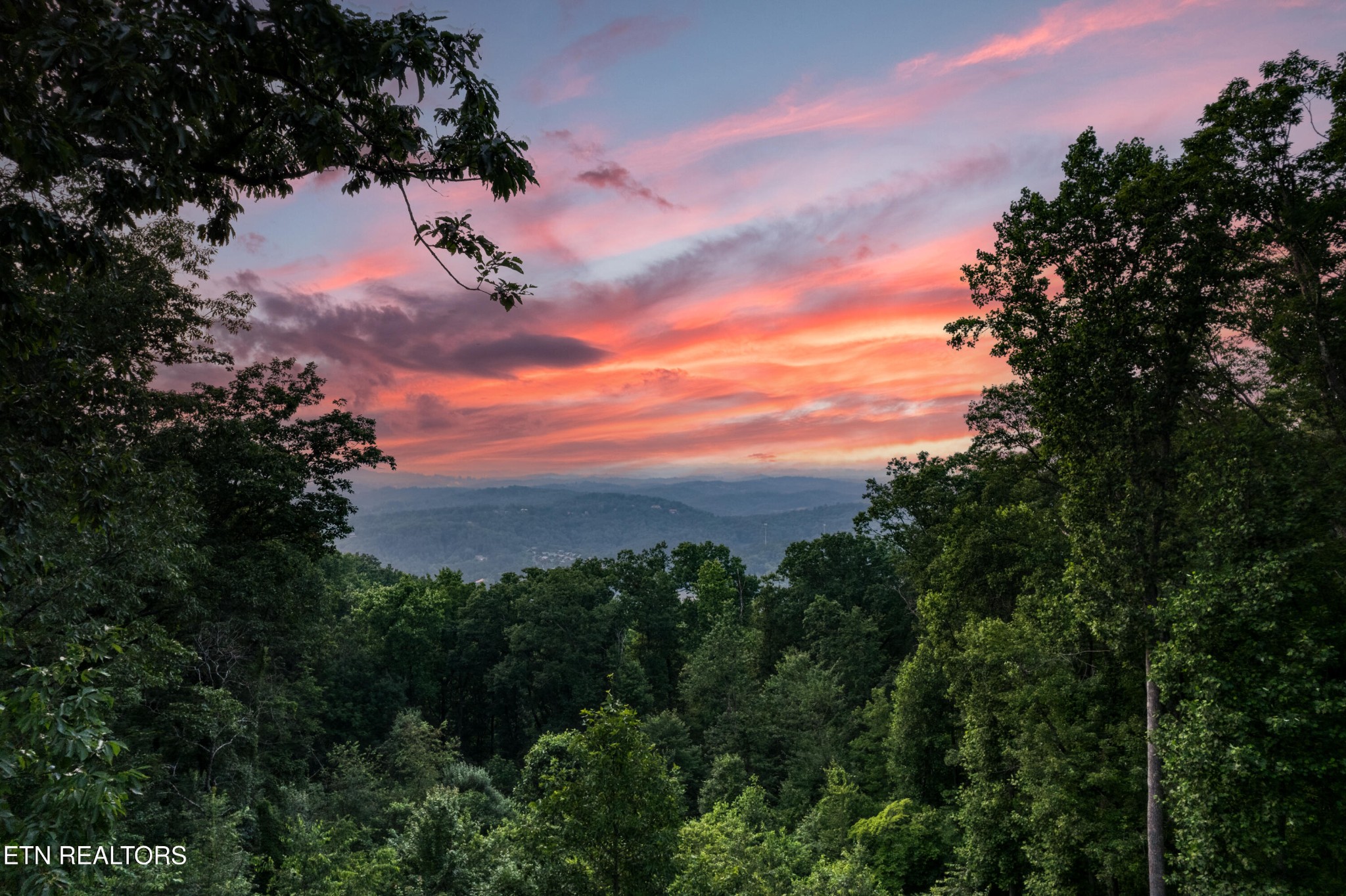 809 Pinecrest Way Sevierville, TN 37862 - Photo 59 of 60 a view of a yard