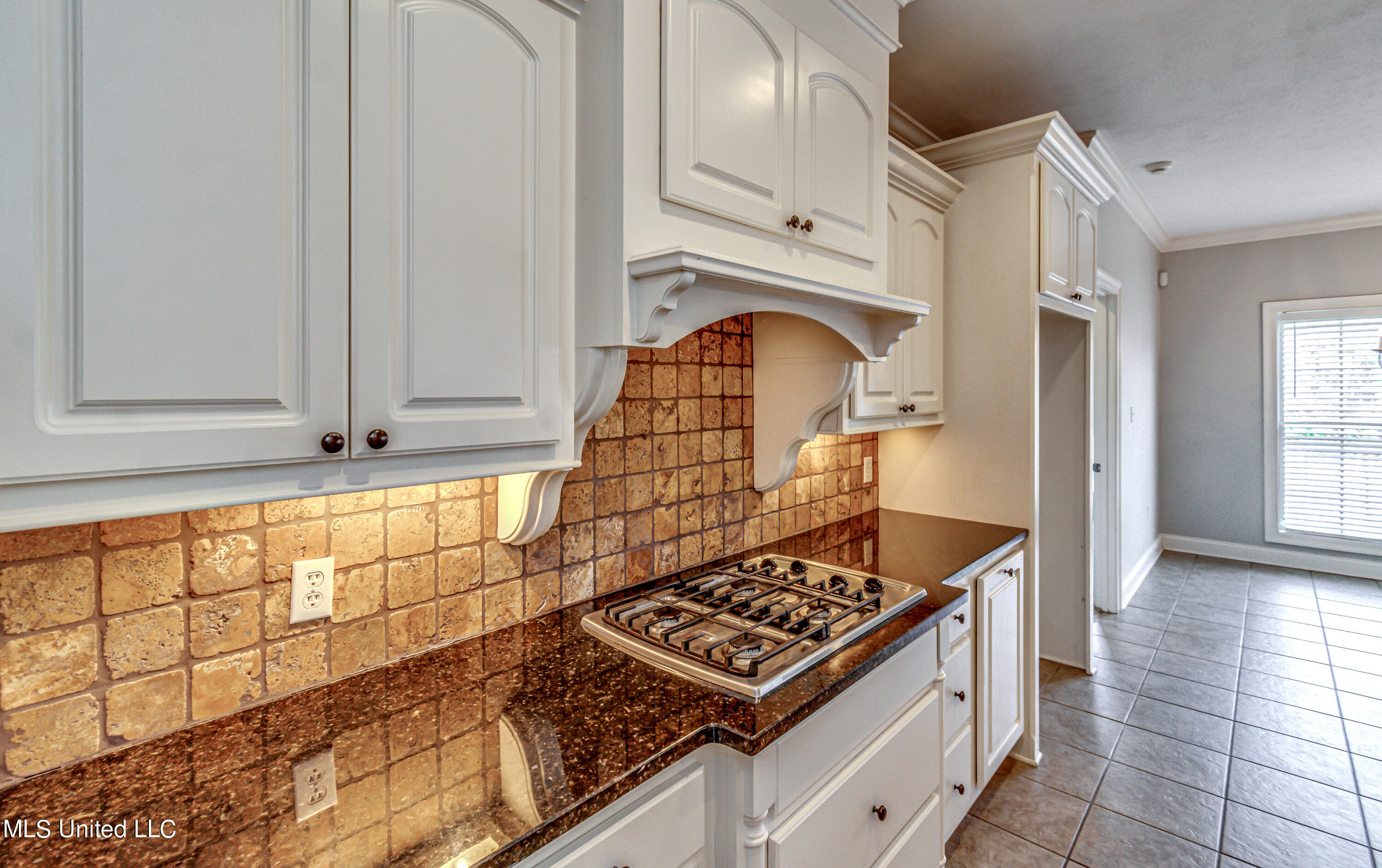 713 Tortoise Ridge Brandon, MS 39047 - Photo 15 of 40 713 Tortoise Ridge--46