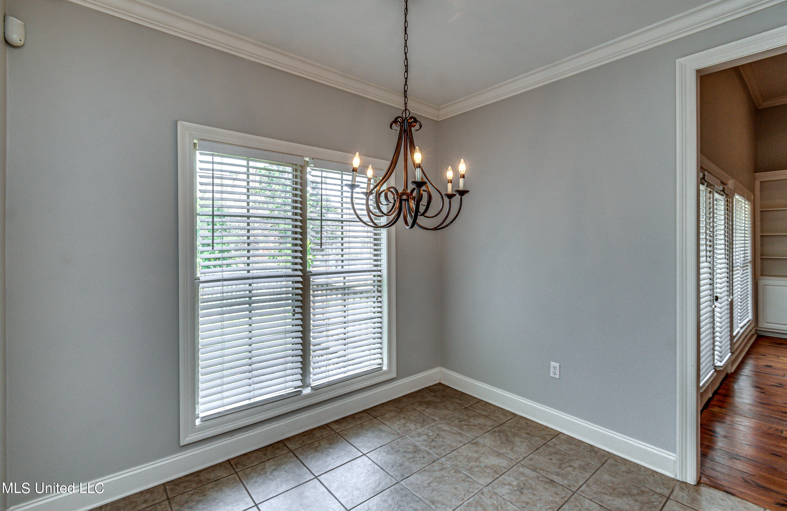 713 Tortoise Ridge Brandon, MS 39047 - Photo 19 of 40 713 Tortoise Ridge--40