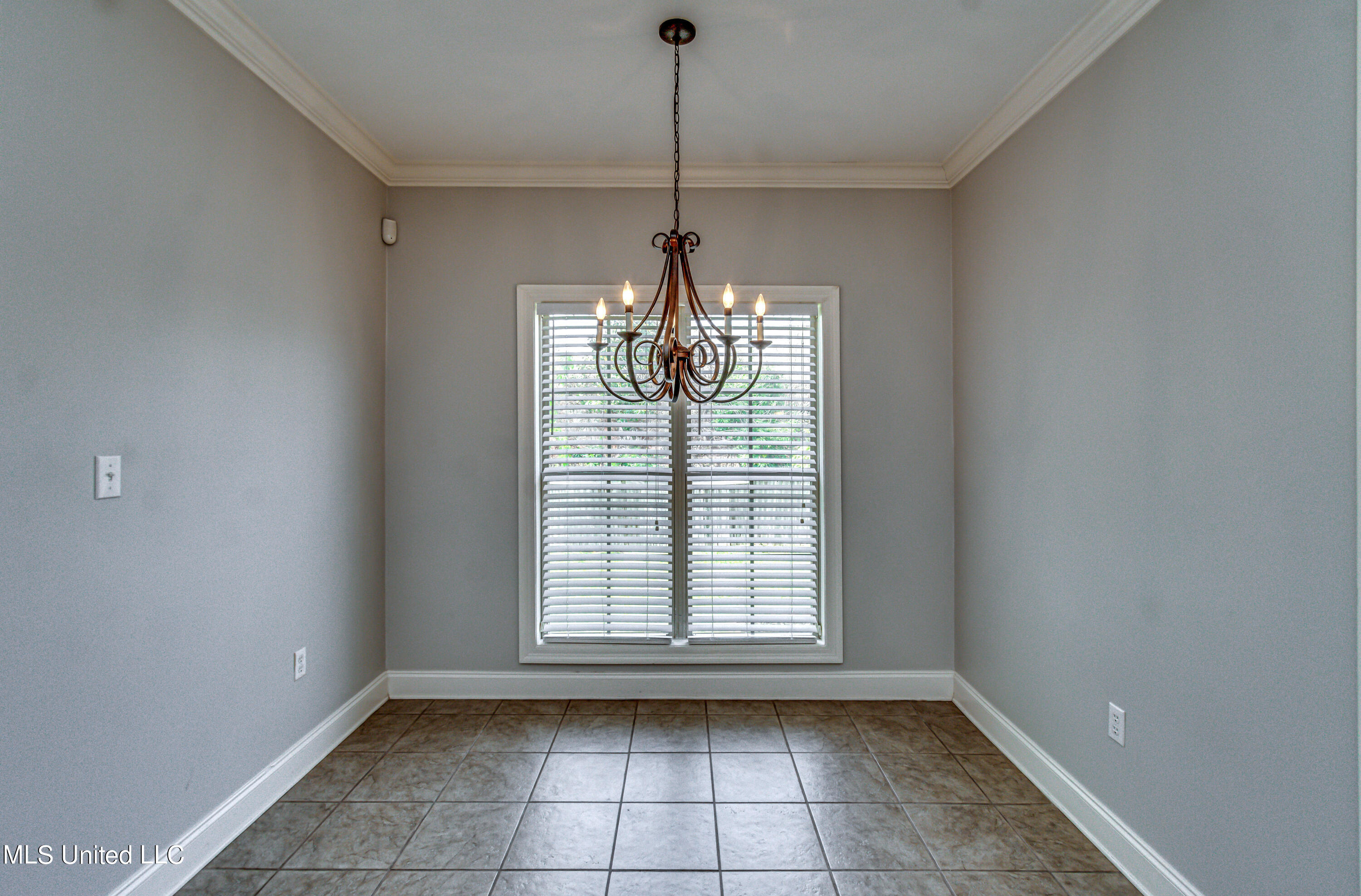 713 Tortoise Ridge Brandon, MS 39047 - Photo 21 of 40 713 Tortoise Ridge--41