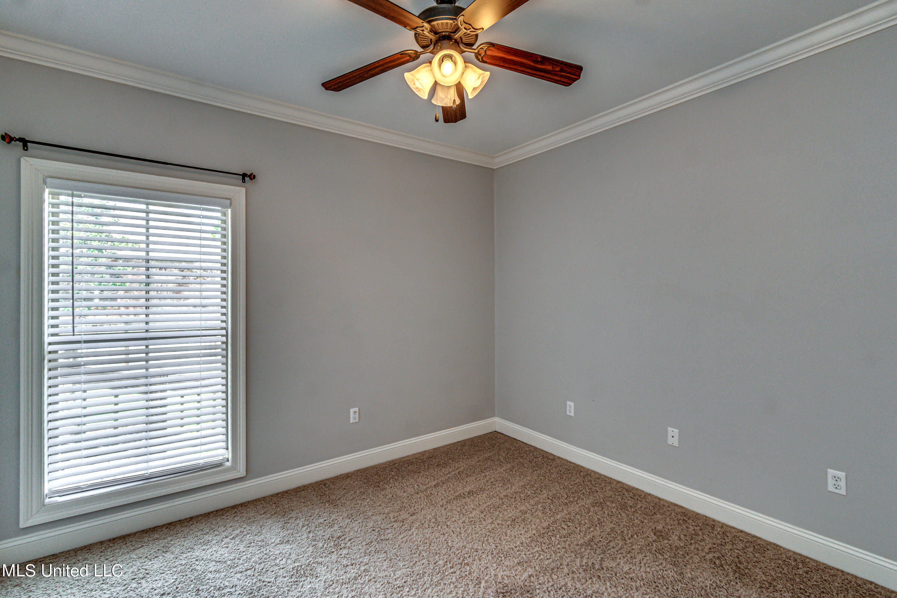 713 Tortoise Ridge Brandon, MS 39047 - Photo 26 of 40 713 Tortoise Ridge--29