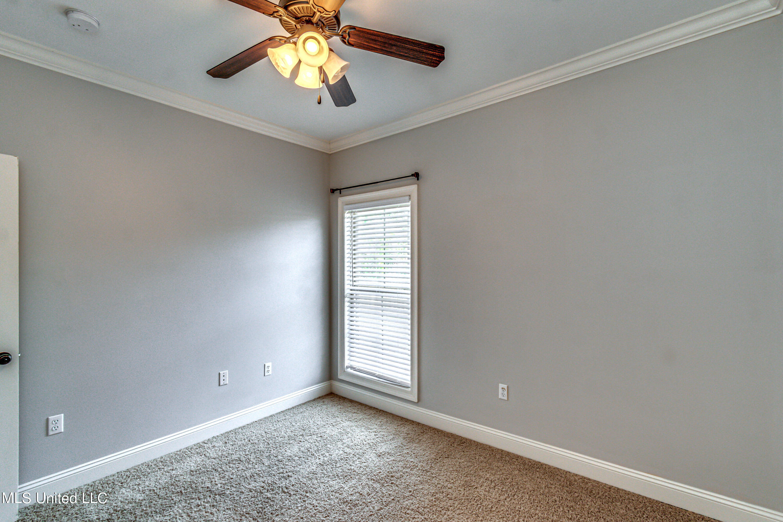 713 Tortoise Ridge Brandon, MS 39047 - Photo 27 of 40 713 Tortoise Ridge--30