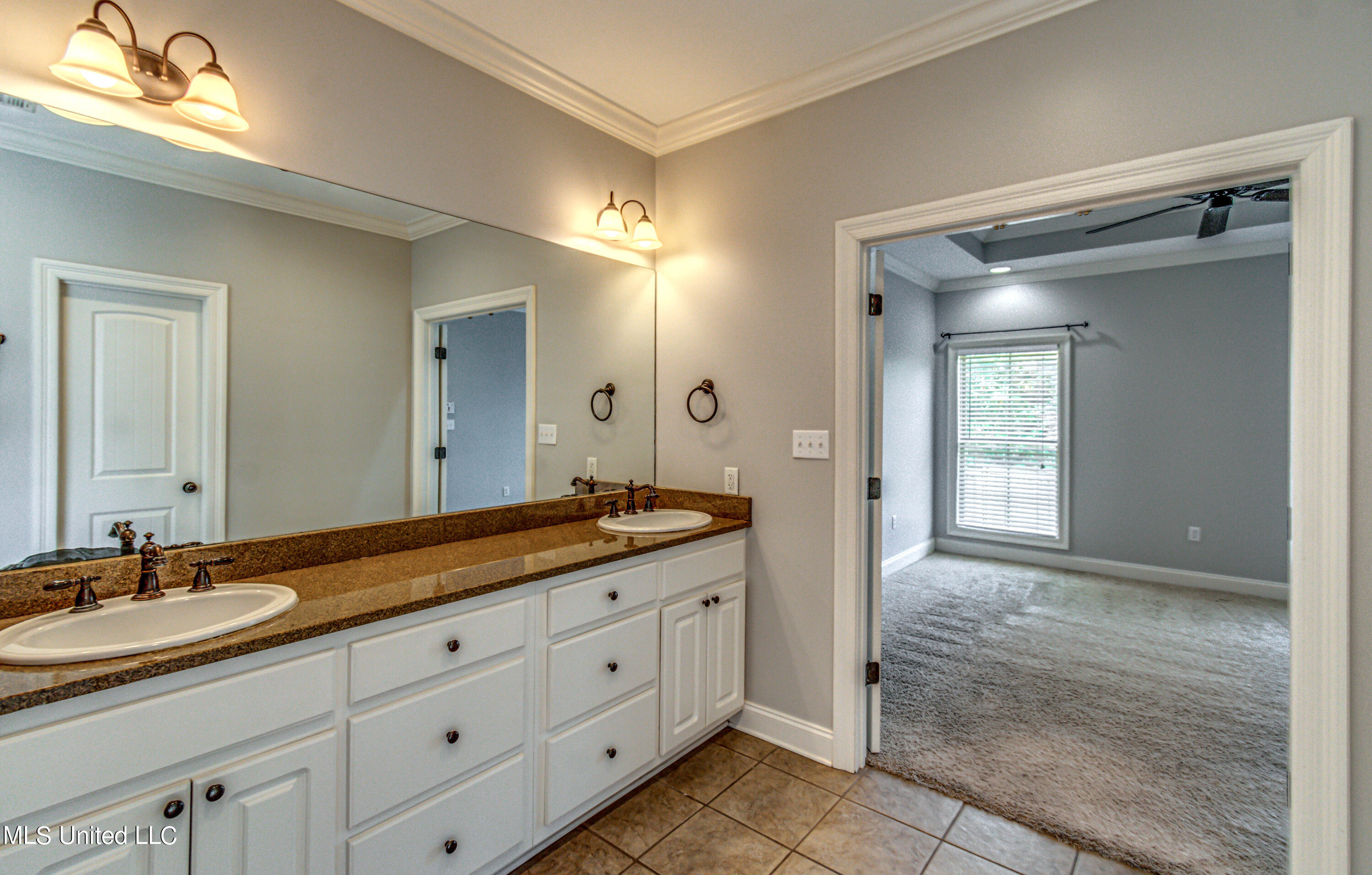 713 Tortoise Ridge Brandon, MS 39047 - Photo 33 of 40 713 Tortoise Ridge--59