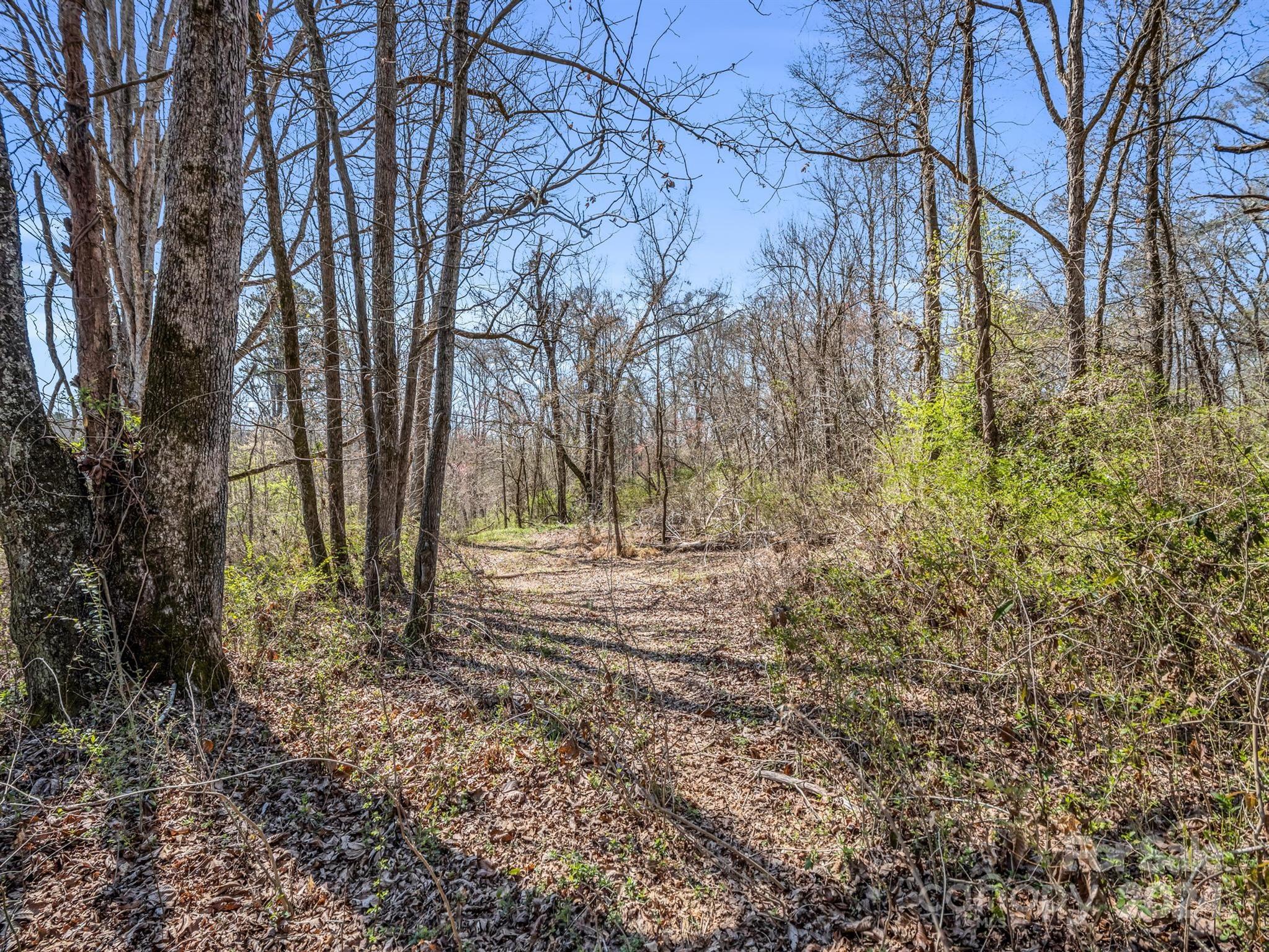 190 Beason Road Mooresboro, NC 28114 - Photo 21 of 34 Gallery Image 21