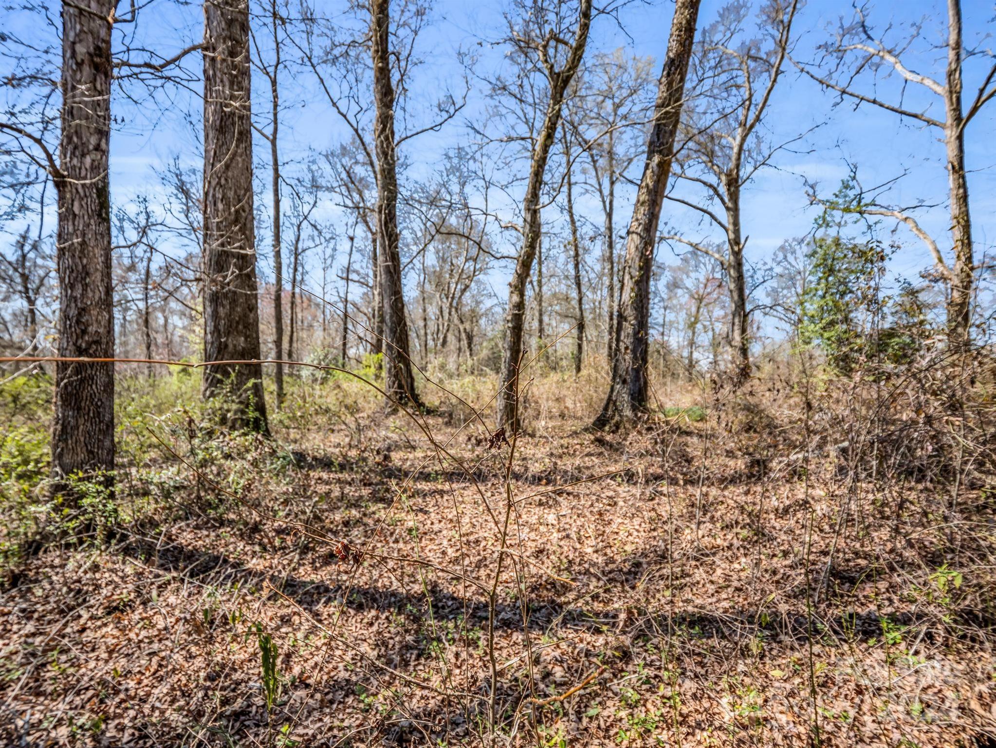 190 Beason Road Mooresboro, NC 28114 - Photo 22 of 34 Gallery Image 22