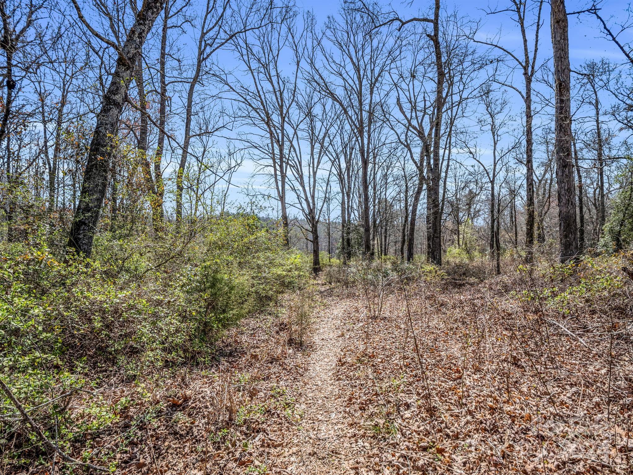 190 Beason Road Mooresboro, NC 28114 - Photo 23 of 34 Gallery Image 23