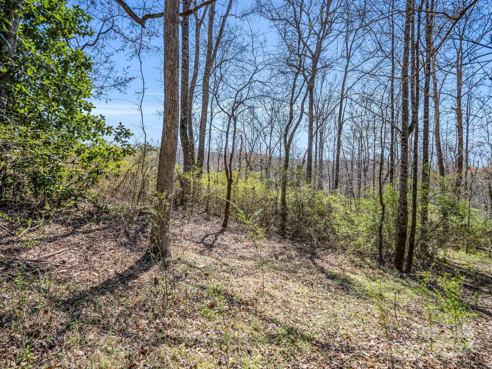 190 Beason Road Mooresboro, NC 28114 - Photo 24 of 34 Gallery Image 24