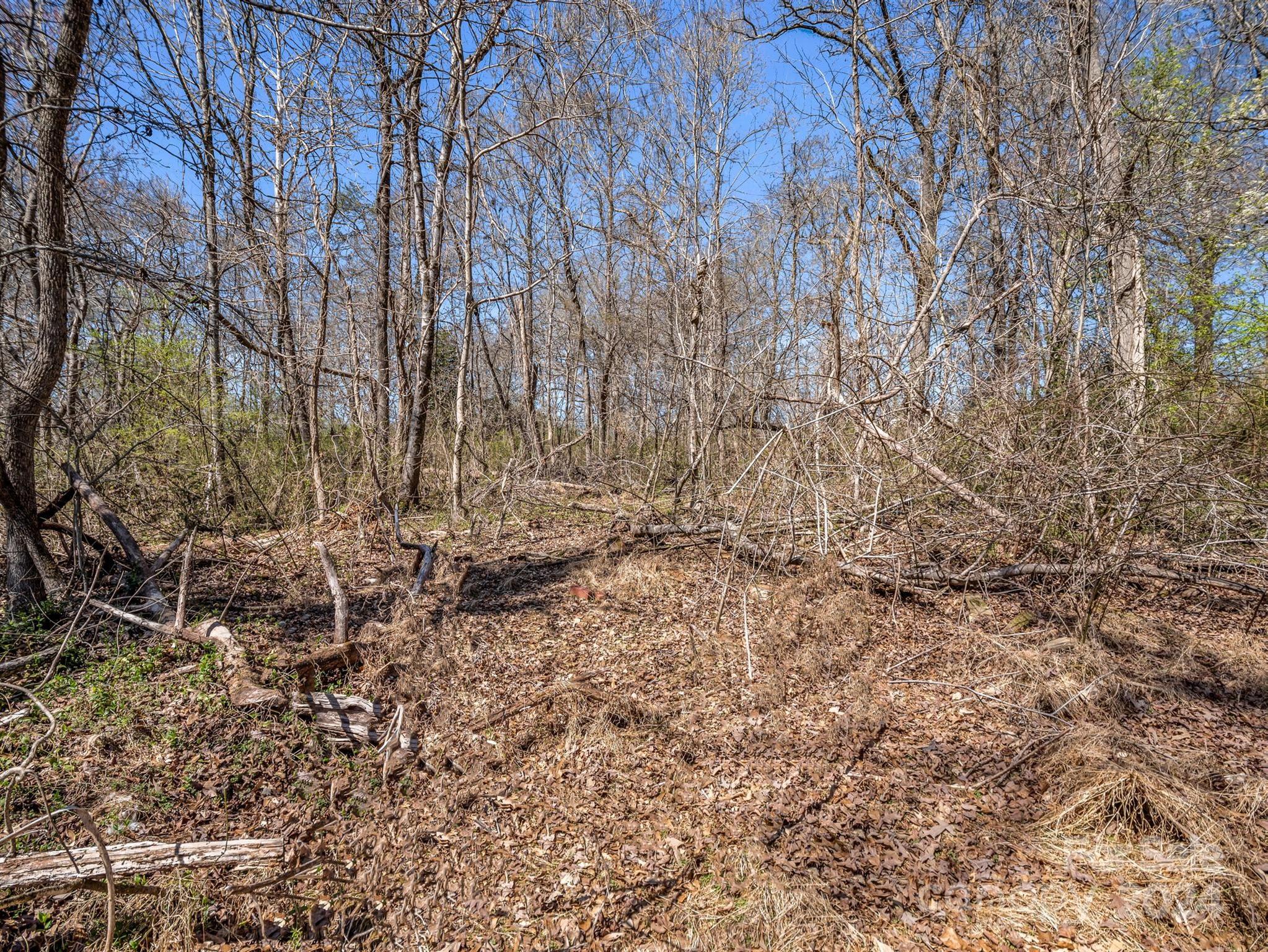 190 Beason Road Mooresboro, NC 28114 - Photo 25 of 34 Gallery Image 25