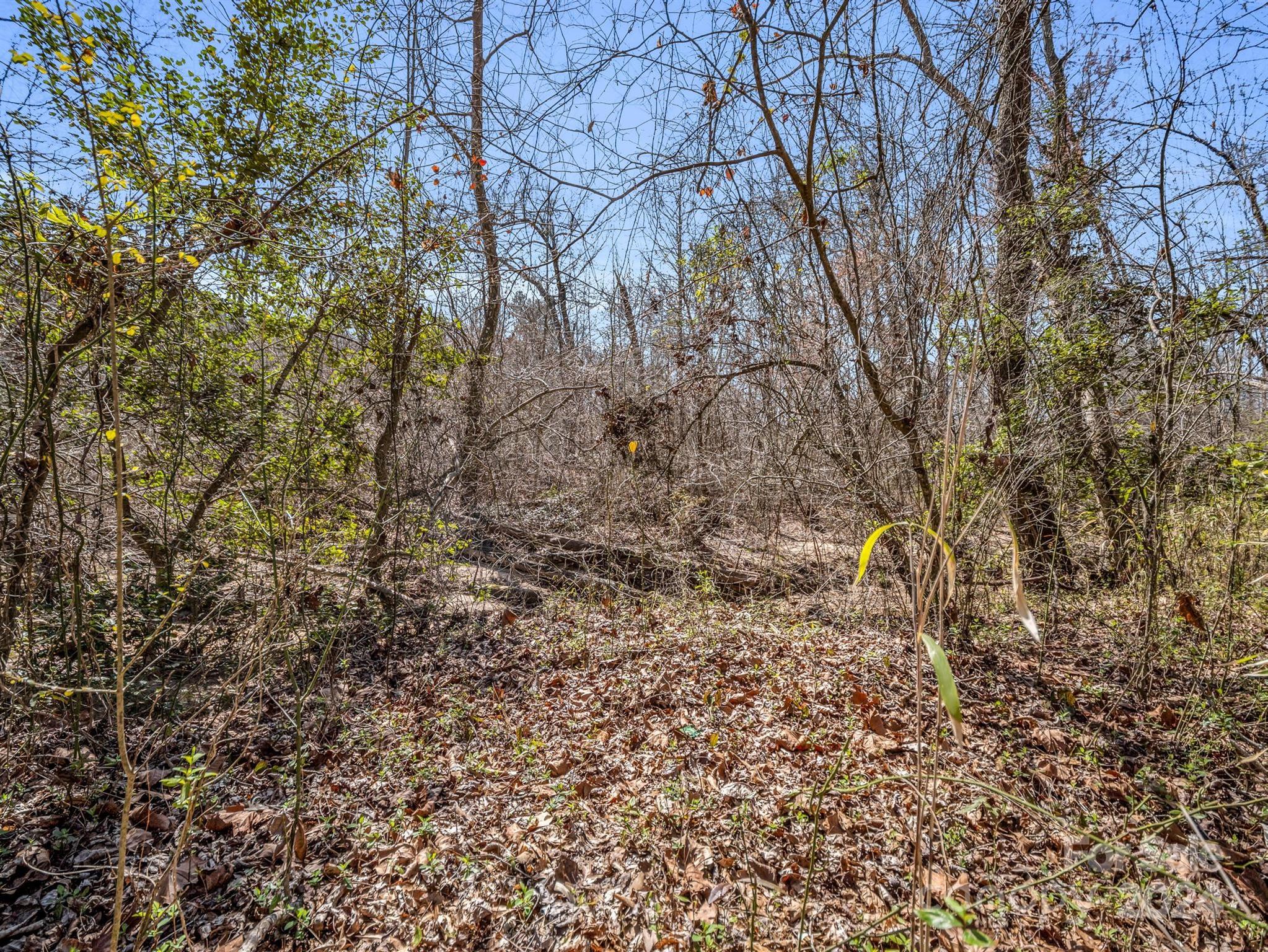 190 Beason Road Mooresboro, NC 28114 - Photo 29 of 34 Gallery Image 29