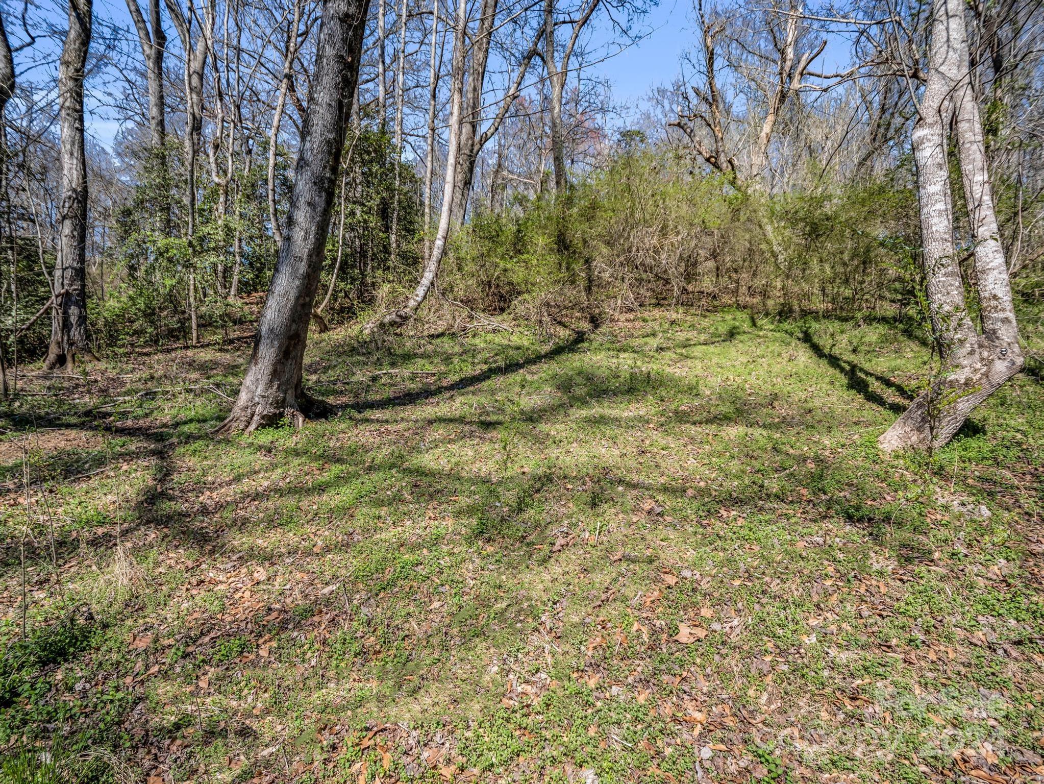 190 Beason Road Mooresboro, NC 28114 - Photo 30 of 34 Gallery Image 30