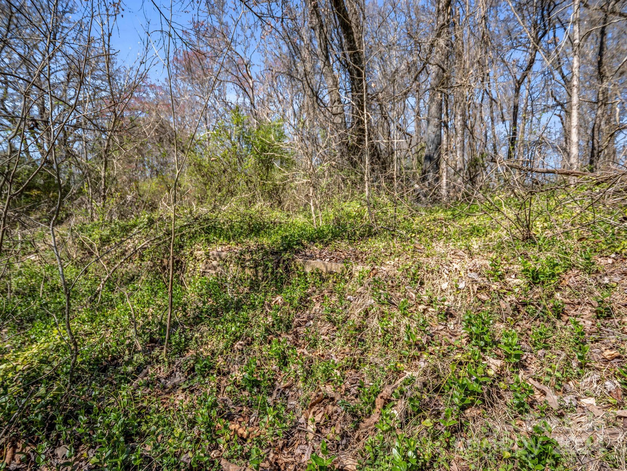 190 Beason Road Mooresboro, NC 28114 - Photo 31 of 34 Gallery Image 31