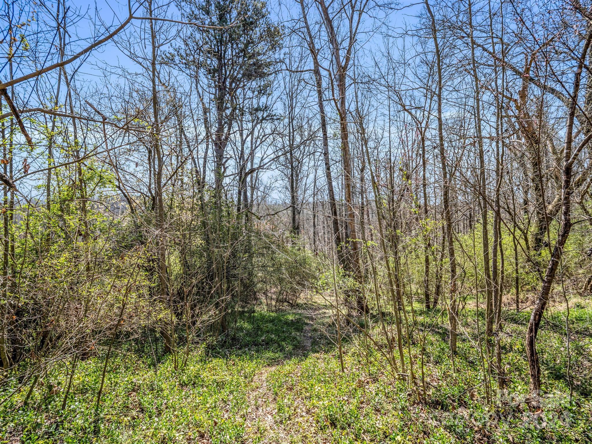 190 Beason Road Mooresboro, NC 28114 - Photo 32 of 34 Gallery Image 32