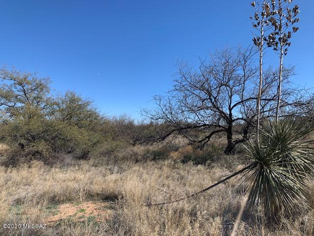 Tbd North Ruth Road, Unit 121 Benson, AZ 85602 - Photo 2 of 5 Gallery Image 2