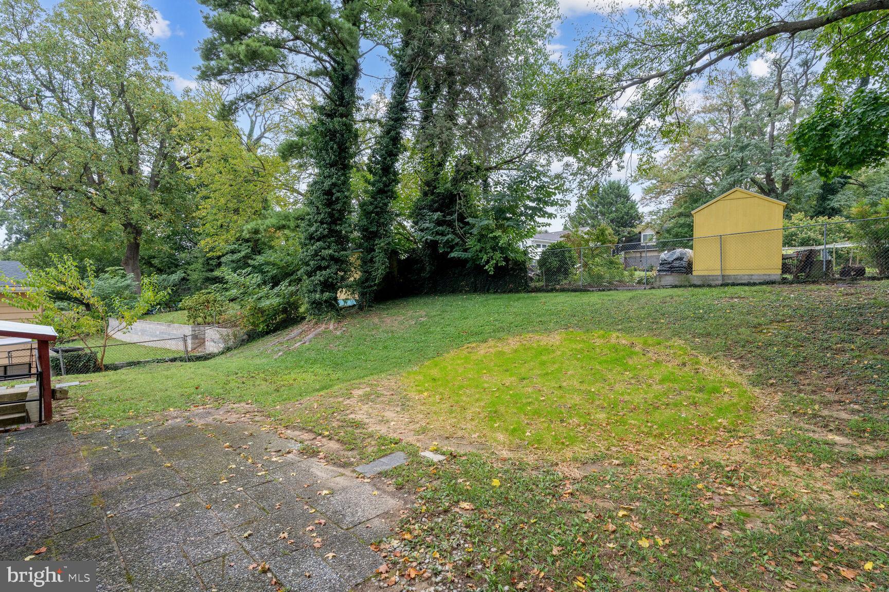 11403 Sherrie Lane Silver Spring, MD 20902 - Photo 18 of 19 Spacious Backyard