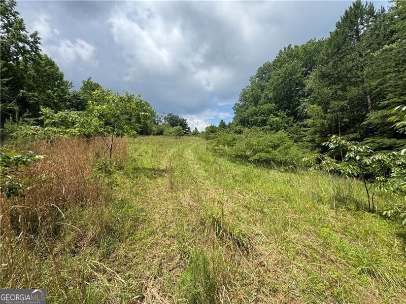0 Ben Higgins Road Dahlonega, GA 30533 - Photo 18 of 21