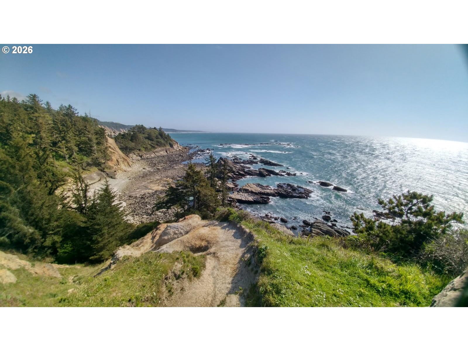0 Fulton Avenue, Unit 312 Coos Bay, OR 97420 - Photo 27 of 29 a black and white photo of a forest