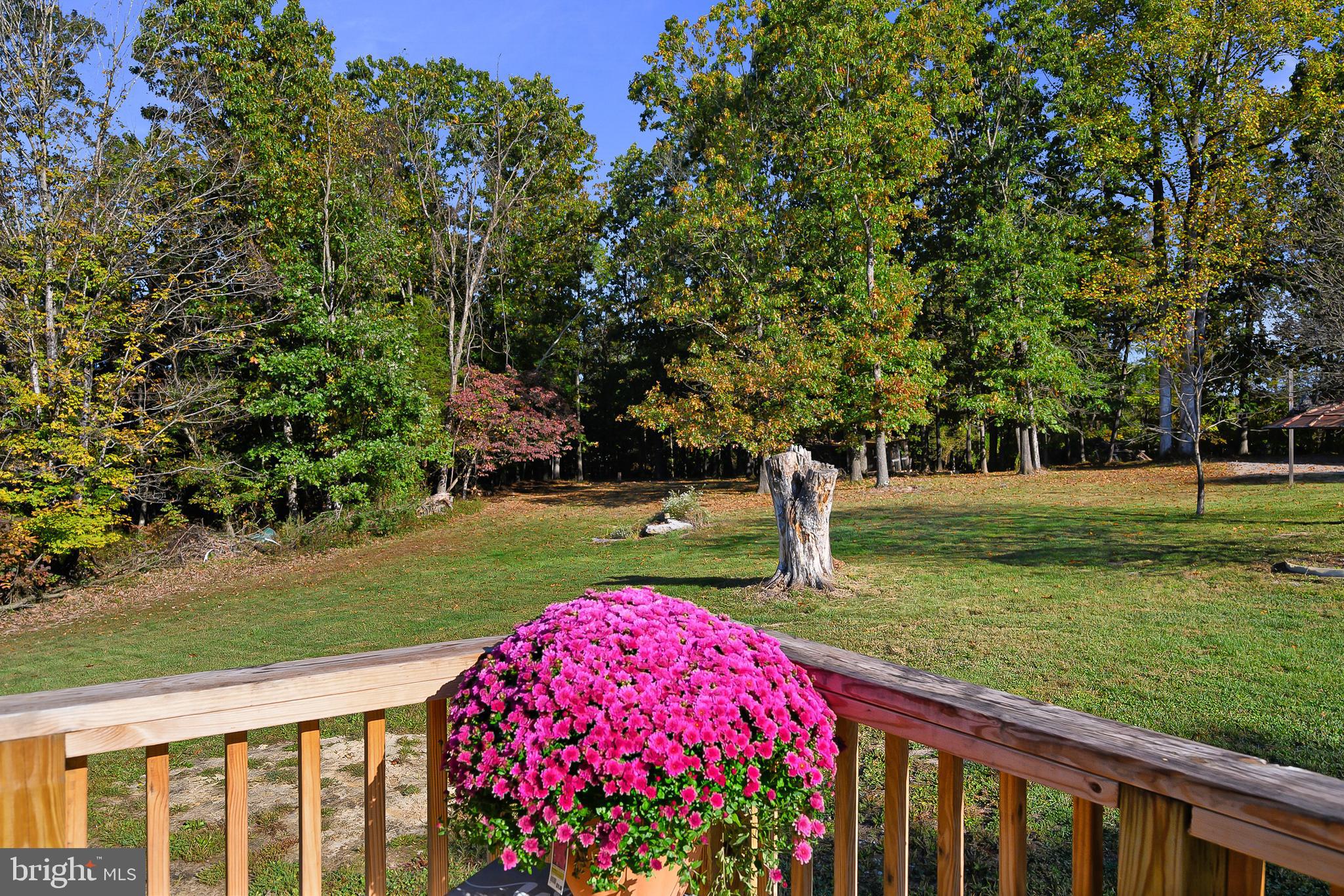 2852 Green Spring Road Winchester, VA 22603 - Photo 8 of 32