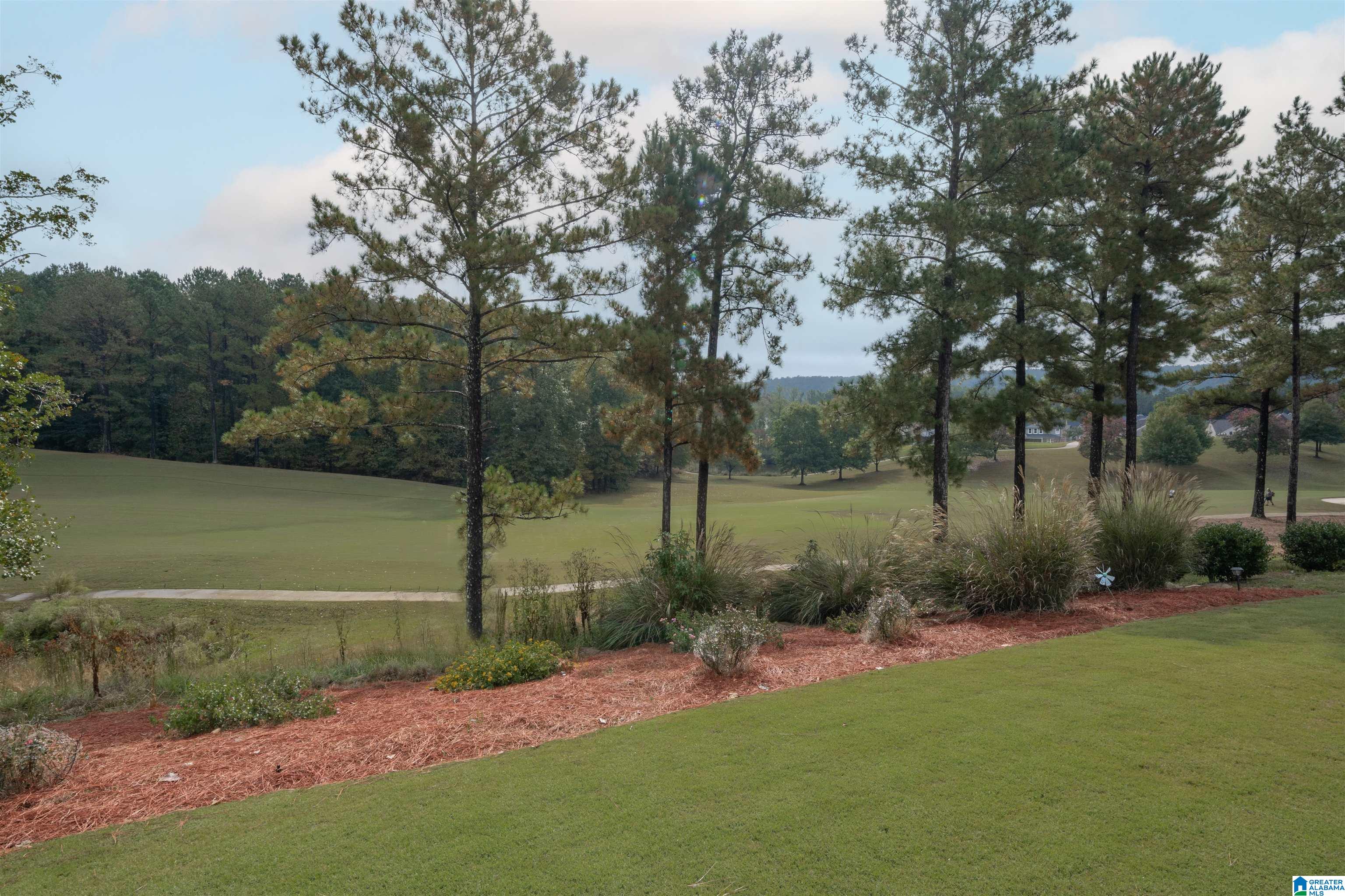 326 Kilkerran Lane Pelham, AL 35124 - Photo 36 of 45