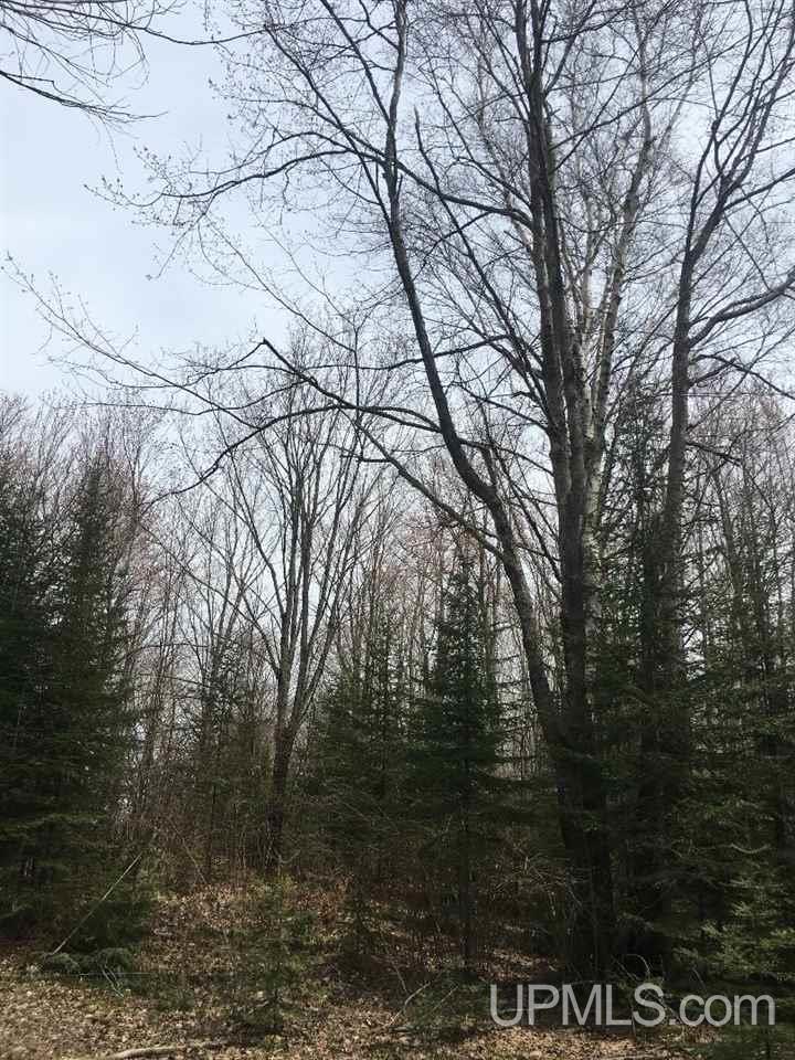 Tbd Tbd Co Road Marquette, MI 49855 - Photo 8 of 11