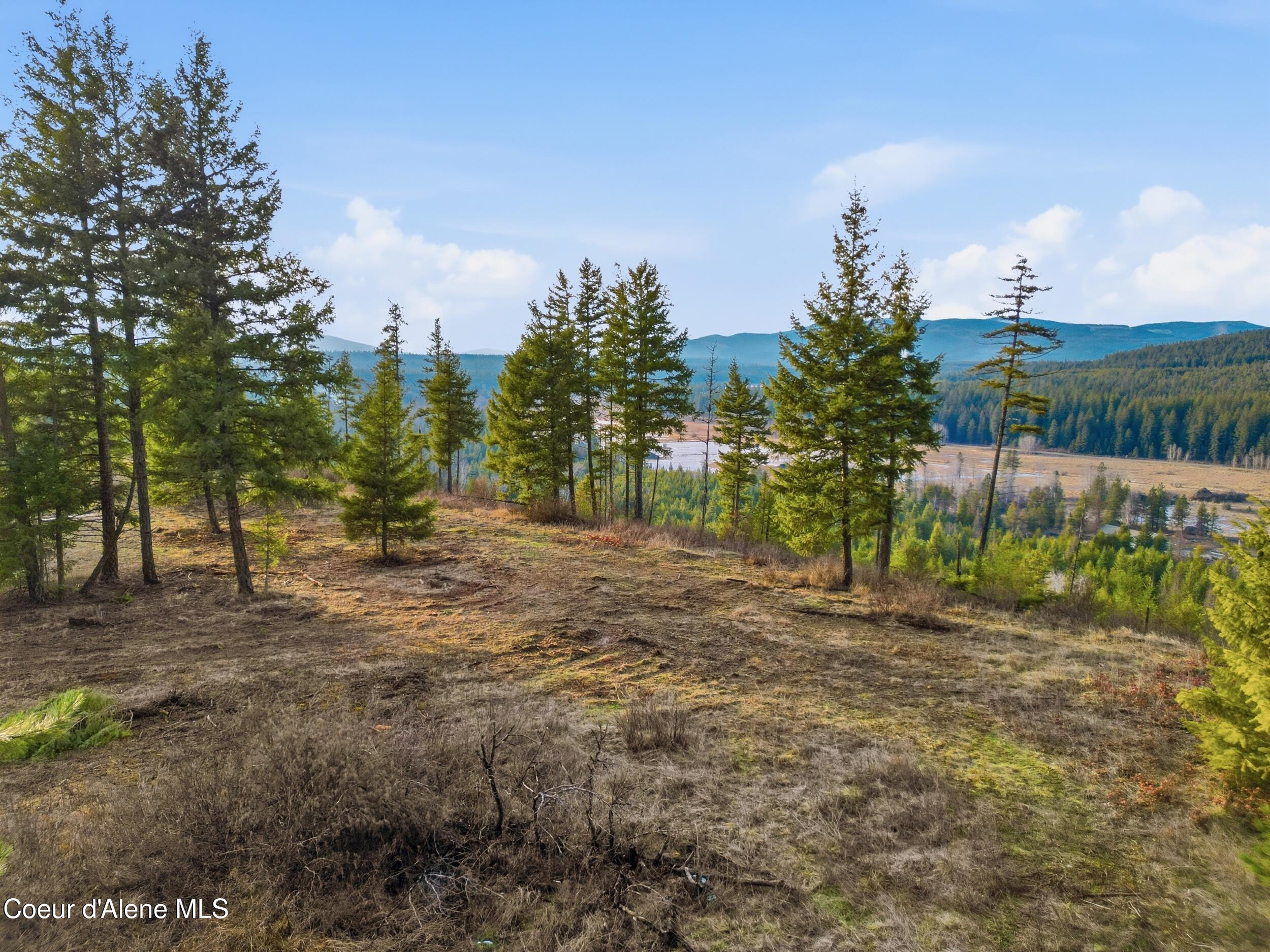 3804 Kelso Lake Road Athol, ID 83801 - Photo 11 of 30 11_dji_0945