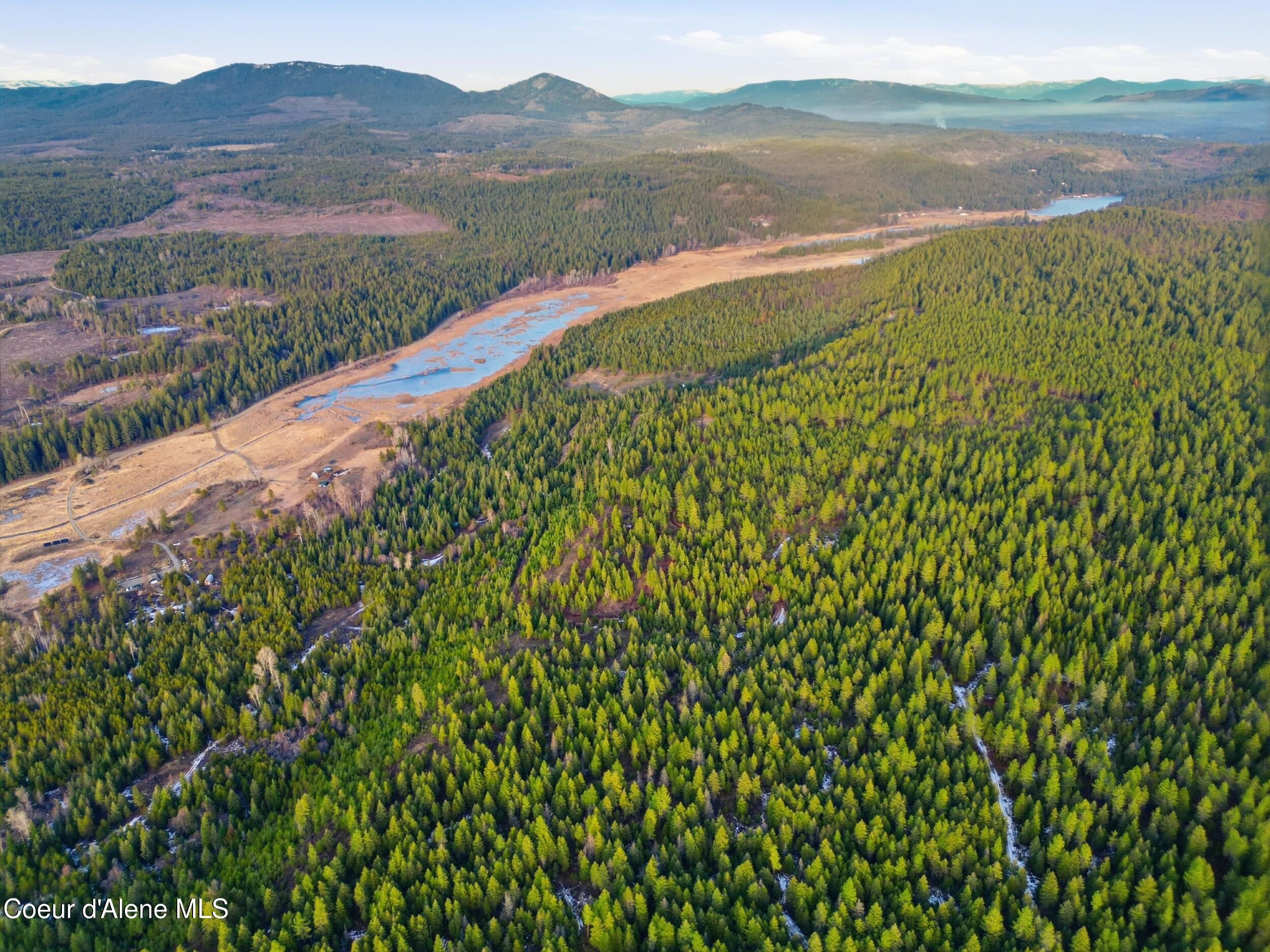 3804 Kelso Lake Road Athol, ID 83801 - Photo 13 of 30 13_dji_0958